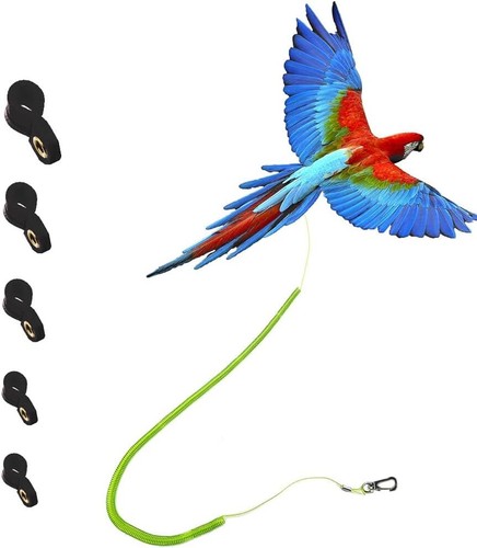 Parrot bird harness leash - parrot,