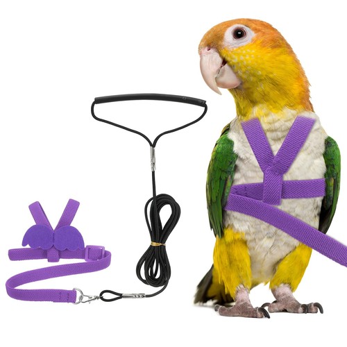 Petaxcell bird harness leash - bird,